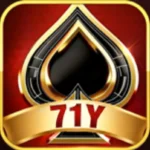 71y logo