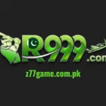r999 logo