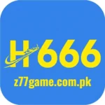h666